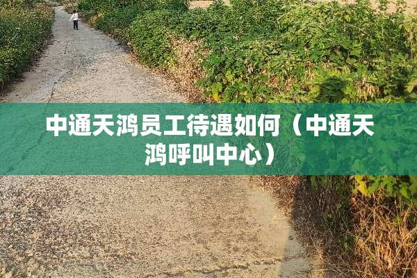 中通天鸿员工待遇如何（中通天鸿呼叫中心）