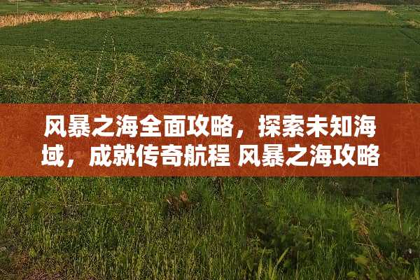 风暴之海全面攻略，探索未知海域，成就传奇航程 风暴之海攻略