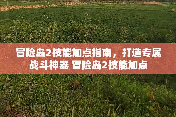 冒险岛2技能加点指南，打造专属战斗神器 冒险岛2技能加点