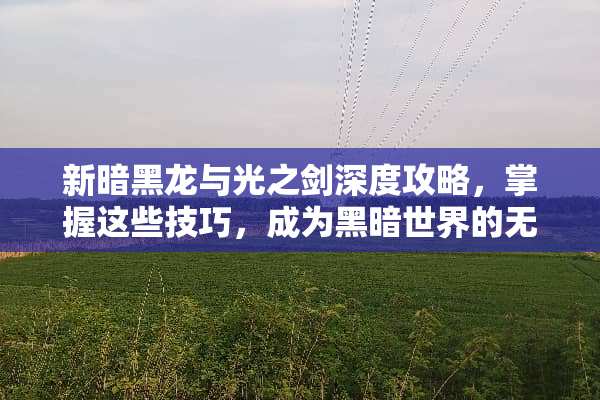新暗黑龙与光之剑深度攻略，掌握这些技巧，成为黑暗世界的无敌王者 新暗黑龙与光之剑攻略