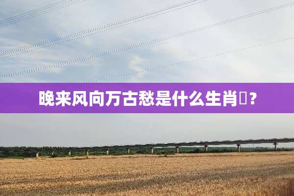 晚来风向万古愁是什么生肖￼？