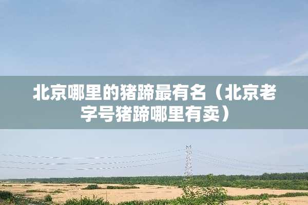 北京哪里的猪蹄最有名（北京老字号猪蹄哪里有卖）