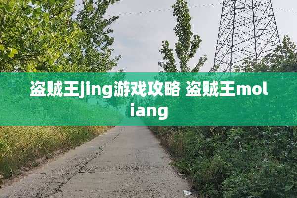 盗贼王jing游戏攻略 盗贼王moliang