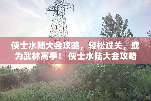 侠士水陆大会攻略，轻松过关，成为武林高手！ 侠士水陆大会攻略