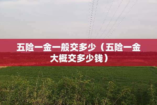 五险一金一般交多少（五险一金大概交多少钱）