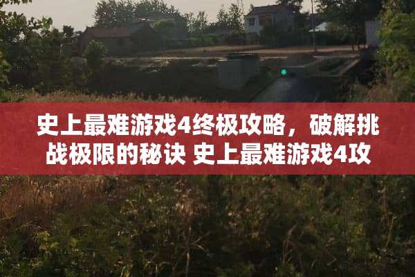 史上最难游戏4终极攻略，**挑战极限的秘诀 史上最难游戏4攻略