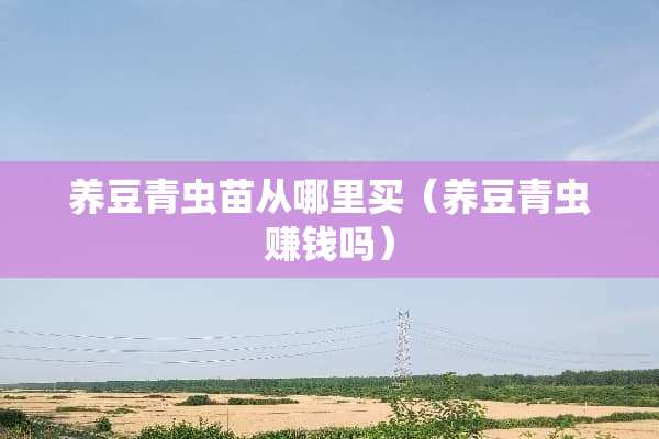 养豆青虫苗从哪里买（养豆青虫赚钱吗）