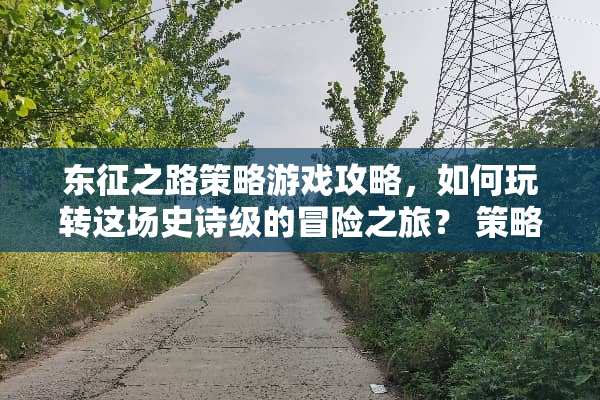 东征之路策略游戏攻略，如何玩转这场史诗级的冒险之旅？ 策略游戏东征之路攻略