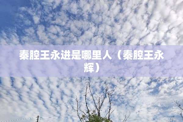 秦腔王永进是哪里人（秦腔王永辉）