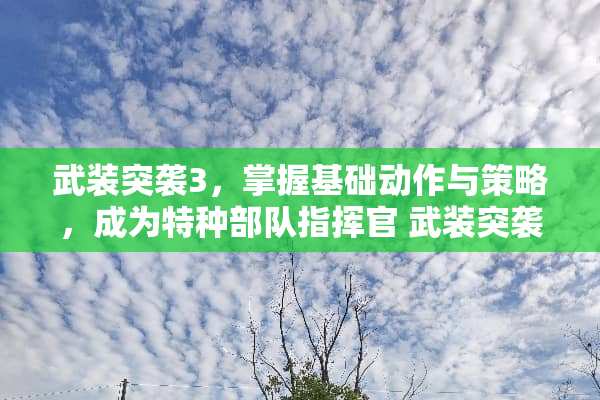 武装突袭3，掌握基础动作与策略，成为特种**指挥官 武装突袭3训练游戏攻略