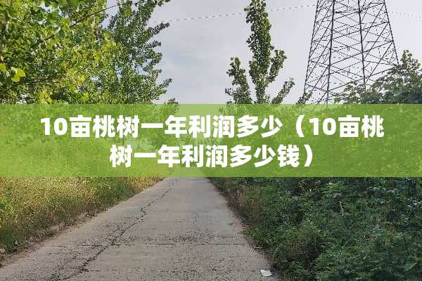 10亩桃树一年利润多少（10亩桃树一年利润多少钱）