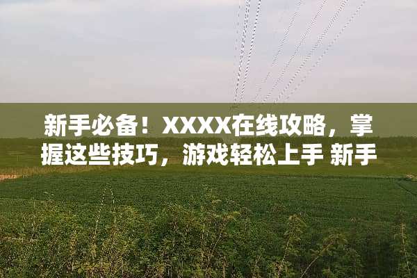 新手必备！XXXX在线攻略，掌握这些技巧，游戏轻松上手 新手先知在线攻略游戏