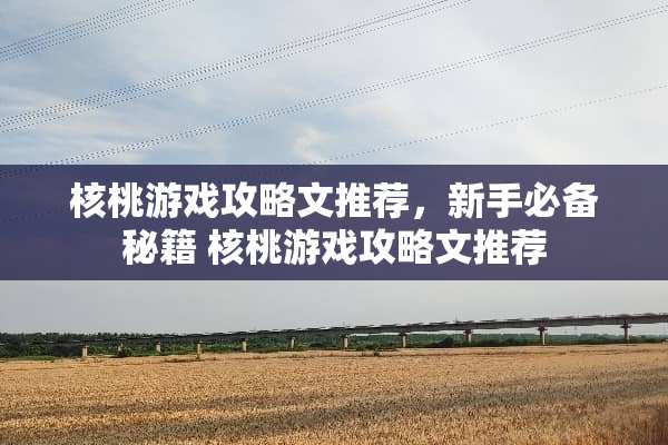 核桃游戏攻略文推荐，新手必备秘籍 核桃游戏攻略文推荐