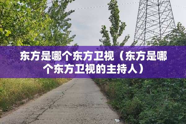 东方是哪个东方卫视（东方是哪个东方卫视的主持人）
