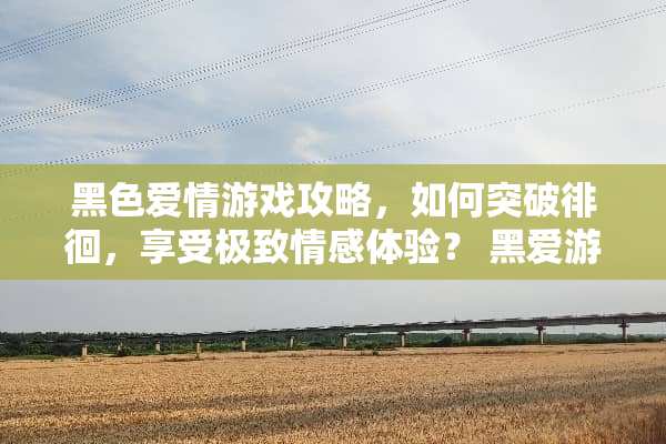 黑色爱情游戏攻略，如何突破徘徊，享受极致情感体验？ 黑爱游戏攻略徘徊