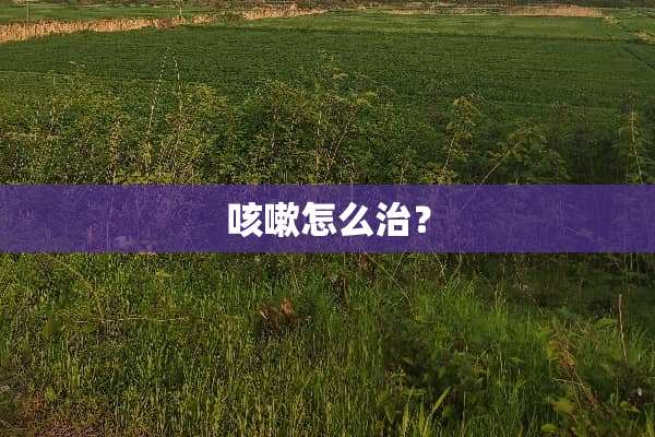 咳嗽怎么治？