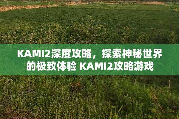 KAMI2深度攻略，探索神秘世界的极致体验 KAMI2攻略游戏