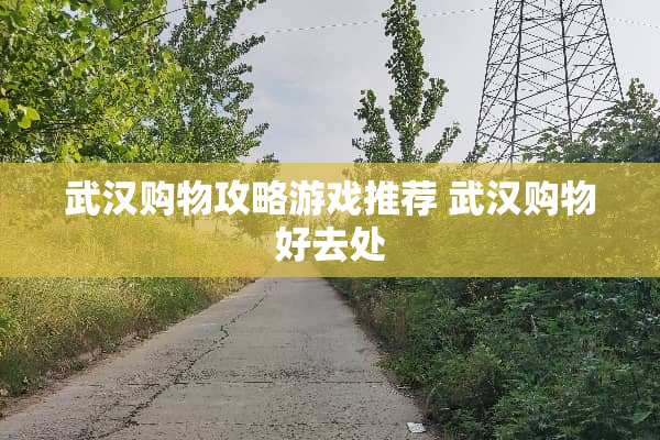 武汉购物攻略游戏推荐 武汉购物好去处