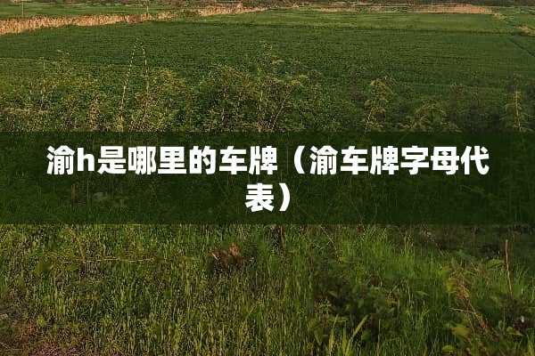 渝h是哪里的车牌（渝车牌字母代表）