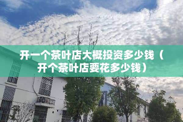 开一个茶叶店大概投资多少钱（开个茶叶店要花多少钱）