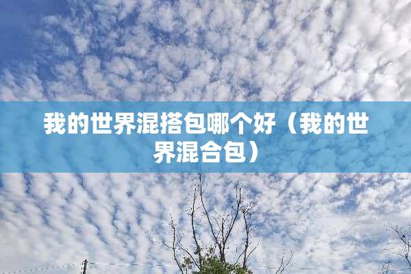 我的世界混搭包哪个好（我的世界混合包）