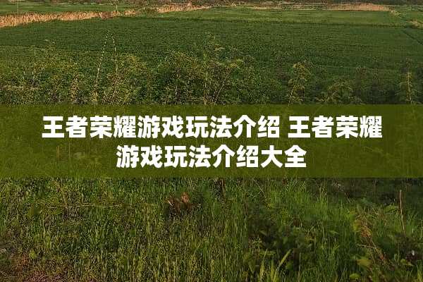 王者荣耀游戏玩法介绍 王者荣耀游戏玩法介绍大全