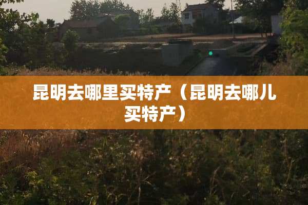 昆明去哪里买特产（昆明去哪儿买特产）