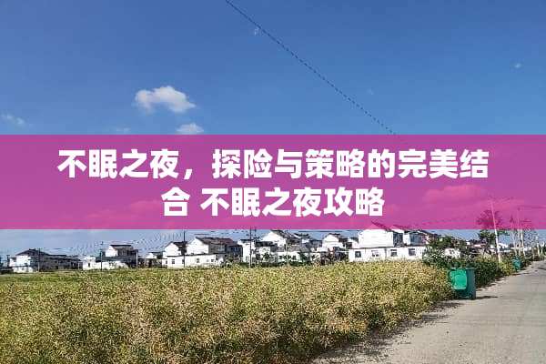 不眠之夜，探险与策略的完美结合 不眠之夜攻略