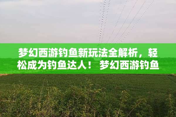 梦幻西游钓鱼新玩法全解析，轻松成为钓鱼达人！ 梦幻西游钓鱼新玩法