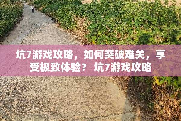 坑7游戏攻略，如何突破难关，享受极致体验？ 坑7游戏攻略
