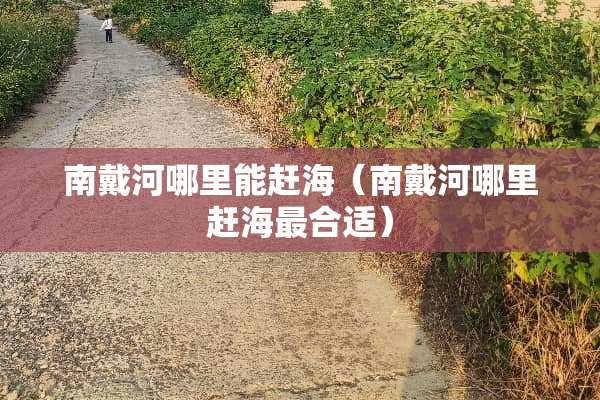 南戴河哪里能赶海（南戴河哪里赶海最合适）