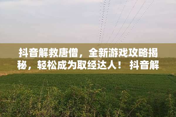 抖音解救唐僧，全新游戏攻略揭秘，轻松成为取经达人！ 抖音解救唐僧游戏攻略