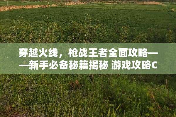 穿越火线，*战王者全面攻略——新手必备秘籍揭秘 游戏攻略CF手游
