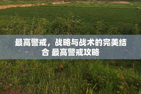 最高警戒，战略与战术的完美结合 最高警戒攻略