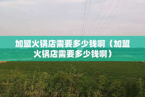 加盟火锅店需要多少钱啊（加盟火锅店需要多少钱啊）