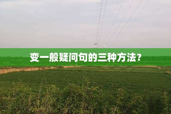 变一般疑问句的三种方法？