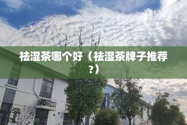 祛湿茶哪个好（祛湿茶牌子推荐?）