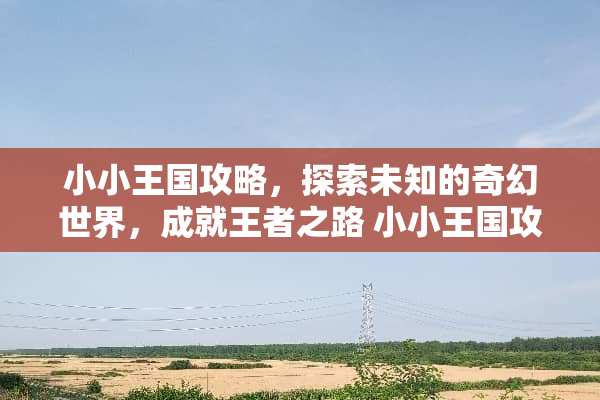 小小王国攻略，探索未知的奇幻世界，成就王者之路 小小王国攻略游戏