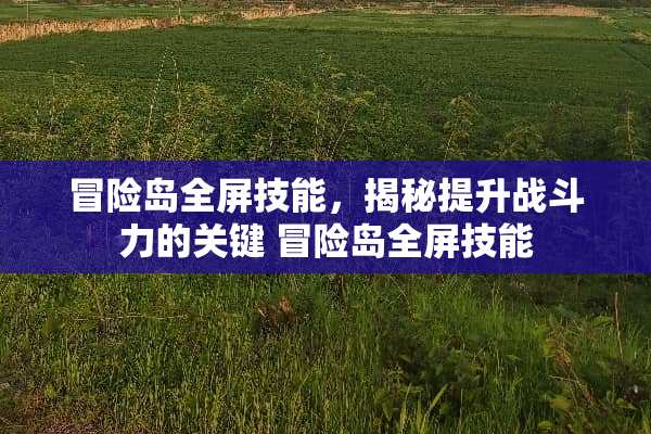 冒险岛全屏技能，揭秘提升战斗力的关键 冒险岛全屏技能
