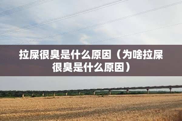 拉屎很臭是什么原因（为啥拉屎很臭是什么原因）