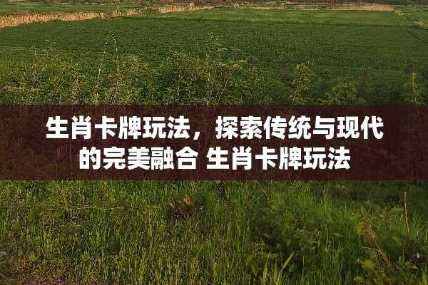 生肖卡牌玩法，探索传统与现代的完美融合 生肖卡牌玩法