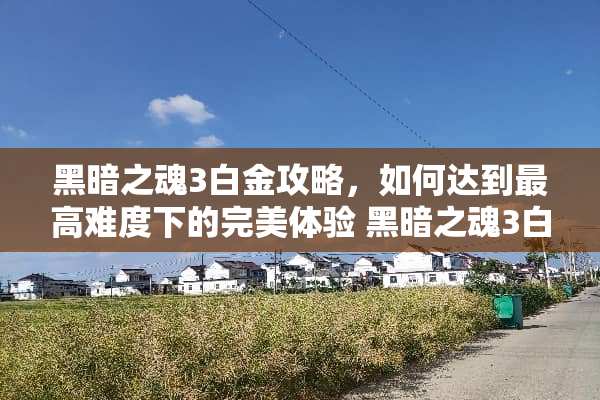黑暗之魂3白金攻略，如何达到最高难度下的完美体验 黑暗之魂3白金攻略