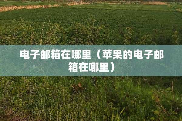 电子邮箱在哪里（苹果的电子邮箱在哪里）