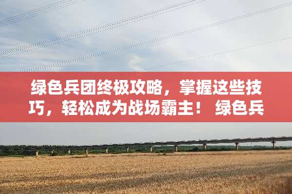 绿色**终极攻略，掌握这些技巧，轻松成为战场霸主！ 绿色**攻略