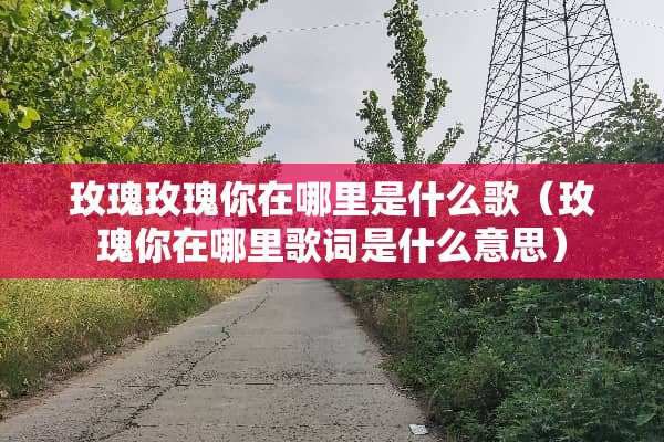 玫瑰玫瑰你在哪里是什么歌（玫瑰你在哪里歌词是什么意思）