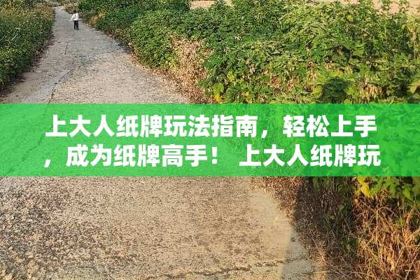 上大人纸牌玩法指南，轻松上手，成为纸牌高手！ 上大人纸牌玩法