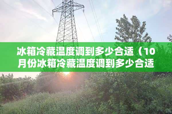 冰箱冷藏温度调到多少合适（10月份冰箱冷藏温度调到多少合适）