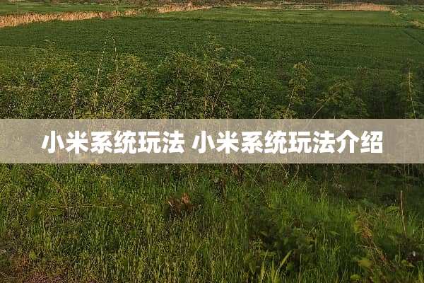 小米系统玩法 小米系统玩法介绍