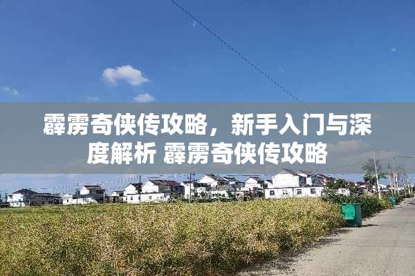 霹雳奇侠传攻略，新手入门与深度解析 霹雳奇侠传攻略