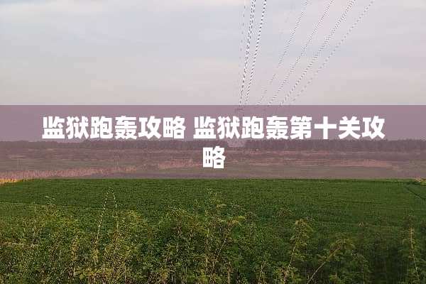 监狱跑轰攻略 监狱跑轰第十关攻略
